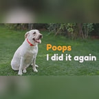 Portable Dog Pooper Scooper with Built-in Waste Bag Dispensr